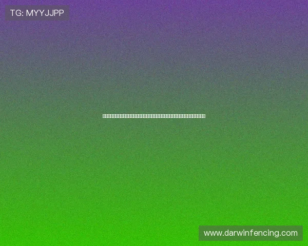 尊龙游戏客户端官网常见问题解答，帮助新手玩家快速上手尊龙游戏客户端官网的全面指南