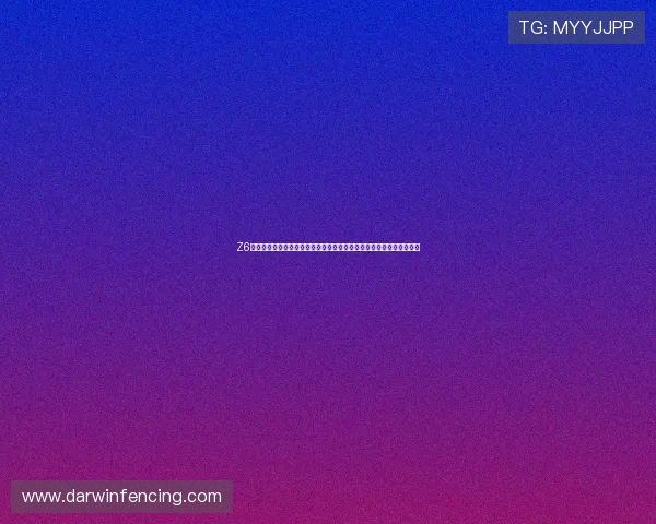 Z6尊龙真人视讯最新优惠活动与福利礼包领取攻略助你轻松享受丰富奖励