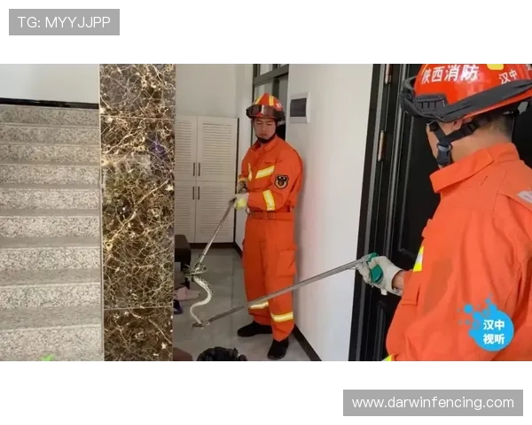 尊龙d88国际厅登录安全保障措施详解保障玩家账号信息安全与隐私保护 尊龙d88国际厅登录安全保障措施详解保障玩家账号信息安全与隐私保护