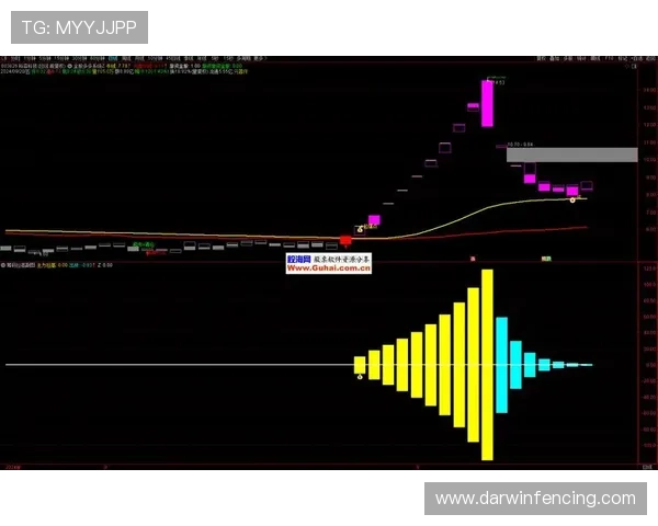 澳门尊龙游戏攻略：高手分享游戏技巧，让你轻松赢得更多筹码与奖励