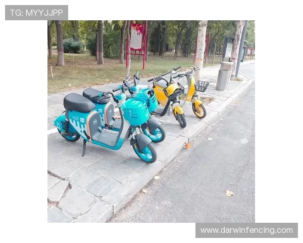 宝马线上娱乐网址有哪些实用技巧帮助新手快速上手游戏攻略指南
