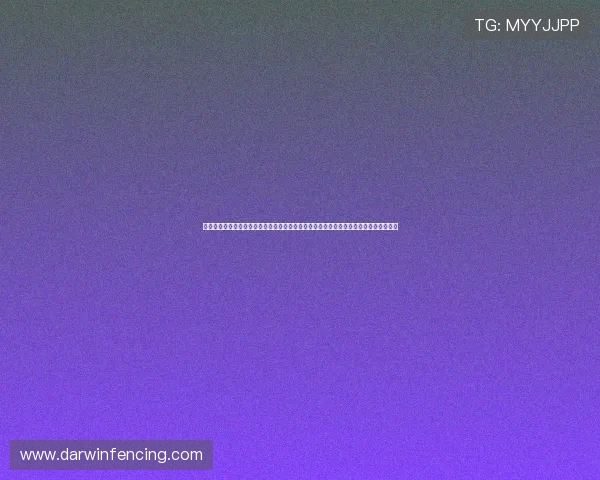 专业体育网站为世俱杯买球提供全方位支持：赛事报道、投注技巧与安全保障一站式服务